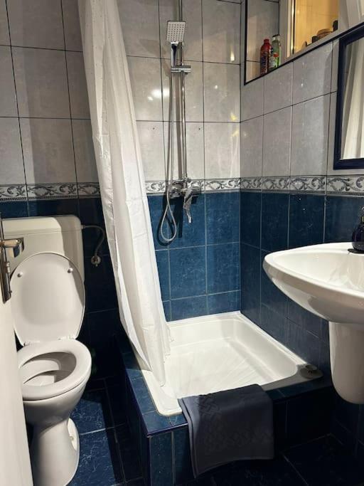부쿠레슈티 Studio Cozy Piata Victoriei 아파트 외부 사진